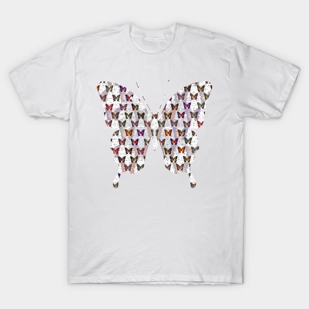 Butterflies Variation 03 T-Shirt by Diego-t